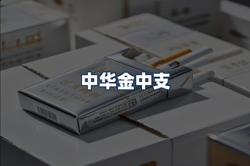 中华金中支